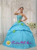 Clarksville Maryland/MD Baby Blue Beaded Decorate Bust and green Hand Flowers Quinceanera Dress With Strapless Pick-ups