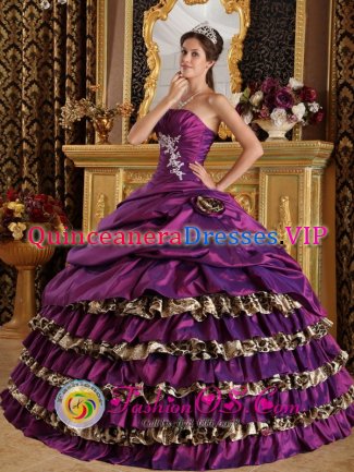 Providence Rhode Island/RI Ruffles Layered and Purple For Modest Quinceanera Dress In Florida