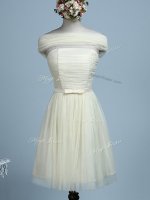 Affordable Light Yellow Strapless Neckline Belt Court Dresses for Sweet 16 Sleeveless Side Zipper(SKU SWBD118-1BIZ)