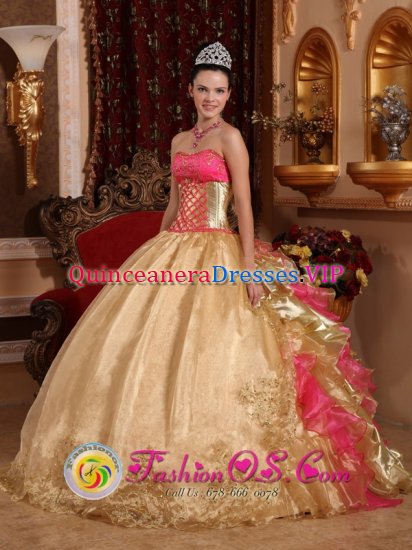Gorgeous Embroidery Decorate Bodice Champagne Ball Gown Quinceanera Dress For Dunblane Central Organza and Floor-length - Click Image to Close