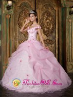 Romantic Pink Off The Shoulder Organza Quinceanera Dress With Colorful Flowers In Burlington Kansas/KS(SKU QDZY220-HBIZ)