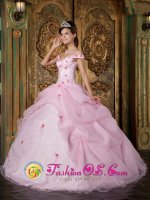 Tiffany & Co Romantic Pink Off The Shoulder Organza Quinceanera Dress With Colorful Flowers In Chanute Kansas/KS[QDZY220-HBIZ]