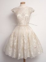 Noble Cap Sleeves Lace Lace Up Quinceanera Dama Dress
