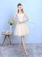 Customized Champagne Tulle Lace Up Square Sleeveless Knee Length Quinceanera Court of Honor Dress Lace(SKU BMT0334EBIZ)