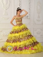 Franklin Square NY The Most Fabulous Leopard and Organza Ruffles Yellow Quinceanera Dress With Sweetheart Neckline