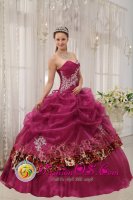 Red River New mexico /NM Popular Burgundy Quinceanera Dress For Military Ball Sweetheart Organza and Leopard or zebra Appliques Ball Gown