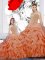 Straps Organza Sleeveless Floor Length Sweet 16 Quinceanera Dress and Beading and Ruffles and Pick Ups