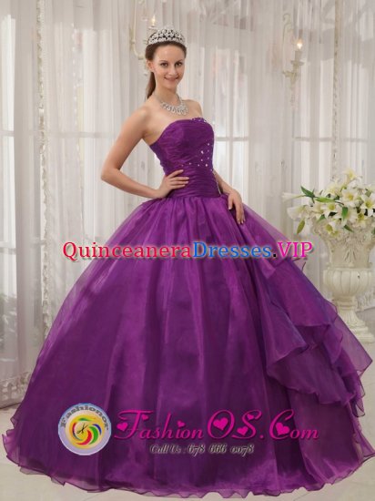 Hill City South Dakota/SD Customize Beaded Decorate Bust and Ruch Quinceanera Dresses Organza Eggplant Purple Strapless - Click Image to Close
