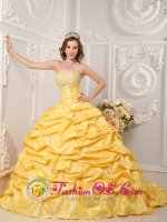 Tiffany & Co Strapless Court Train Taffeta Appliques and Beading Brand New Yellow Avondale AZ Quinceanera Dress Ball Gown[QDZY008y-4BIZ]