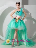 Saltdal Norway Unique Apple Green Princess One Shoulder High-low Organza Beading and Appliques Quinceanera Dama Dress(SKU MLXN080802BIZ)