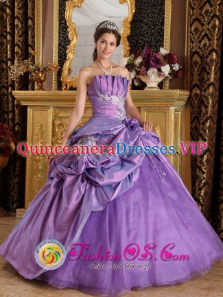 Johnson Vermont/VT Strapless Taffeta Customize Lavender Appliques Quinceanera Dress With Hand flower and Pick-ups Decorate