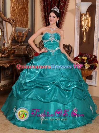 Pretty Strapless Appliques Brand New Turquoise Bear Delaware/ DE Quinceanera Dress Organza Ball Gown - Click Image to Close