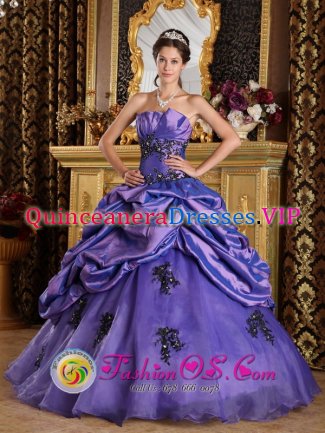 Woodstock Georgia/GA Princess Purple Strapless Quinceanera Dress With Appliques and Pick-ups