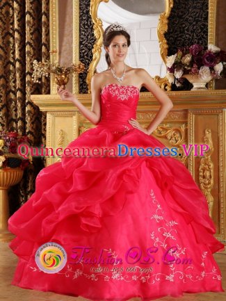 Delano Minnesota/MN Princess Strapless Embeoidery Decorate New Arrival Coral Red Sweet 16 Quinceanera Dress
