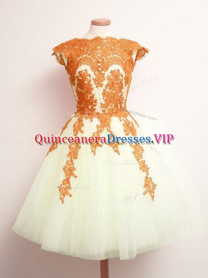 Amazing Mini Length Multi-color Quinceanera Court Dresses Tulle Sleeveless Appliques - Click Image to Close