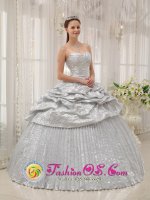 Silver For Brand New Quinceanera Dress With Appliques and Pick-ups In Florida