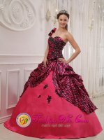 One Shoulder Hand Zebra Made Flowers Moca Dominican Republic Sweet 16 Dress Coral Red For Gaduation