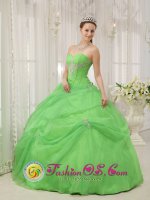 GaithersburgMaryland/MD Quinceanera Dress For Quinceanera With Spring Green Sweetheart neckline Floor-length