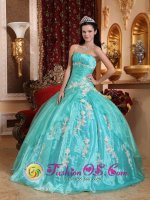Stylish Appliques Melton VIC Quinceanera Dress Strapless Turqoise Organza Ball Gown
