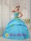 Falls Church Virginia/VA Baby Blue Beaded Decorate Bust and green Hand Flowers Quinceanera Dress With Strapless Pick-ups