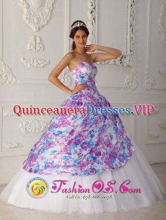 Richardson TX Elegent A-line Printing and Tulle Vintage Multi-color Quinceanera Dress For Sweetheart Appliques