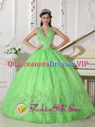 A-line Spring Green Halter Appliques Decorate Quinceanera Dress With Taffeta and Organza in Noblesville Indiana/IN
