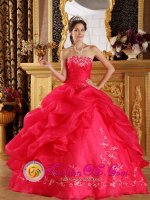 Shoshone Idaho/ID Princess Strapless Embeoidery Decorate New Arrival Coral Red Sweet 16 Quinceanera Dress