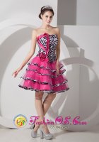 Stylish Hot Pink A-line Strapless Mini-length Organza Zebra Quinceanera Dama Dress in San Martin Argentina(SKU MLXN146BIZ)