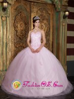 Saint Augustine FL Baby Pink Pretty Sweetheart Ball Gown Quinceanera Dress With Appliques Decorate(SKU QDZY151y-4BIZ)