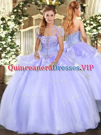 Lavender Lace Up Strapless Appliques Ball Gown Prom Dress Organza Sleeveless