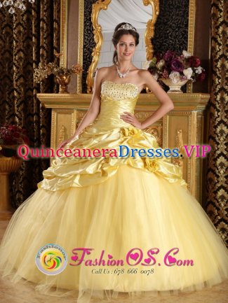 Las Vegas New mexico /NM USA Custom Made Modest Beaded Decorate Yellow Quinceanera Dress With Hand Made Flowers And Pick-ups