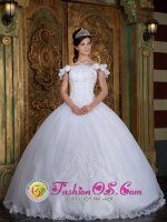 Custom Made Off The Shoulder For Quinceanera Dress With Lace Appliques and Hand Made Flower Decorate in San Francisco CA