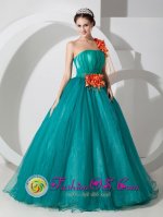 Fairfield Alabama/AL One Shoulder Organza Quinceanera Dress With Hand Made Flowers Custom Made(SKU MLXNHY010-HBIZ)