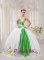 Palm Bay Florida/FL The Super Hot White and green Sweetheart Neckline Quinceanera Dress With Embroidery Decorate