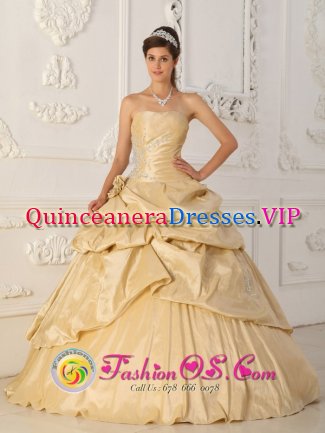 A-Line Princess Champagne Pick-ups Beading and Hand Made Flowers Aurora Oregon/OR Strapless Quinceanera Dress
