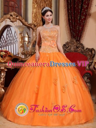 Davie FL Sweetheart Embroidery Decorate Discount Quinceanera Dress
