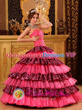 Westerly Rhode Island/RI Organza and Zebra Layers Hot Pink Quinceanera Dress With Sweetheart and Beading Decorate Ball Gown