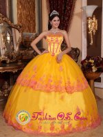 Paragould Arkansas/AR Classical Yellow Quinceanera Dress With Organza and romantic Lace Appliques Decorate(SKU QDZY431-BBIZ)
