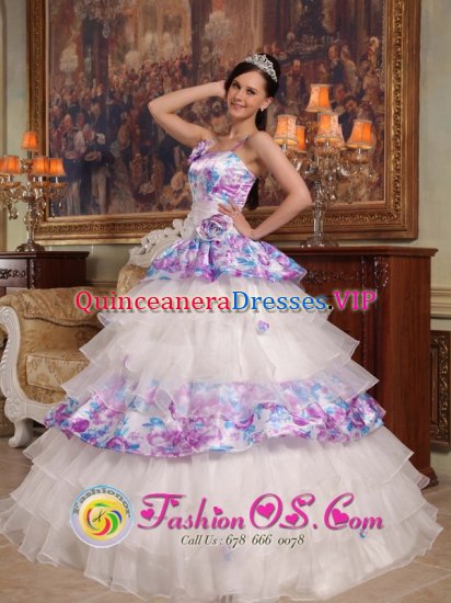 Exquisite Hand Made Flowers Elegant Quinceanera Dress For Straps Organza and Printing Ball Gown in Temple Texas/TX - Click Image to Close