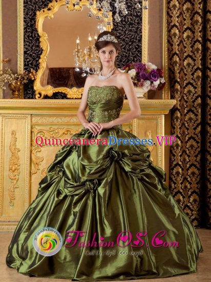 Tavernier Florida/FL Brand New Olive Green Quinceanera Dress Clearrance With Taffeta Appliques And Pick-ups Decorate - Click Image to Close