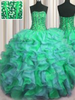 Visible Boning Beaded Bodice Floor Length Ball Gowns Sleeveless Multi-color 15 Quinceanera Dress Lace Up(SKU PSSW0474-9BIZ)