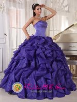 Pattensen GermanyStrapless Beaded Bodice Low Price Purple Satin and Organza Floor length Quinceanera Dress with ruffles