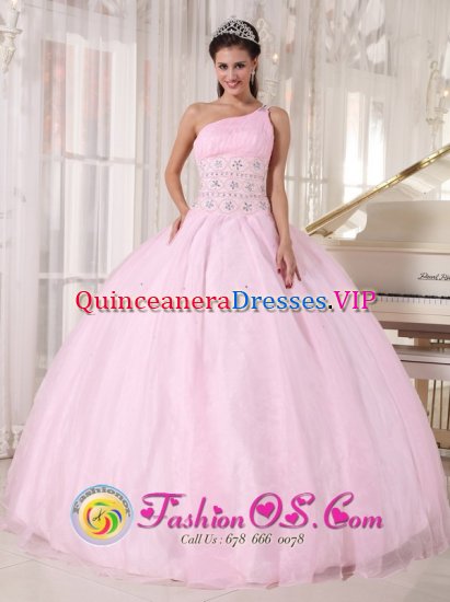 Lauderhill FL Luxurious Baby Pink One Shoulder Quinceanera Dress Beading Floor Length Tulle For Sweet 16 - Click Image to Close