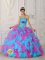 Bowling Green Ohio/OH Strapless Multi-color Appliques Decorate Quinceanera Dress With ruffles