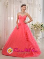 Sandy BedfordshireElegent Coral Red Sweetheart and A-line Quinceanera Dress With Hand Made Flowers Tulle