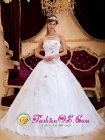 White Colorful Appliques For Quinceanera Dress With Organza Strapless In Cheraw South Carolina S/C