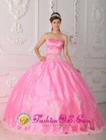Kivijarvi Finland Floor-length and Strapless Appliques Decorate Bodice Rose Pink Quinceanera Dress