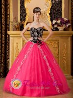 Comendador Dominican Republic Brand New Hot Pink and Black Quinceanera Dress With Sweetheart Neckline and Hand Made Flower Decorate Tulle Skirt