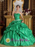 South Hero Vermont/VT Spring Green With Pick-ups Appliques Decorate Waist For Romantic Strapless Quinceanera Dress