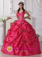 Narvik Norway Hand Made Rose with Beading Spaghetti Straps Customize Hot Pink Quinceanera Gowns For Sweet 16